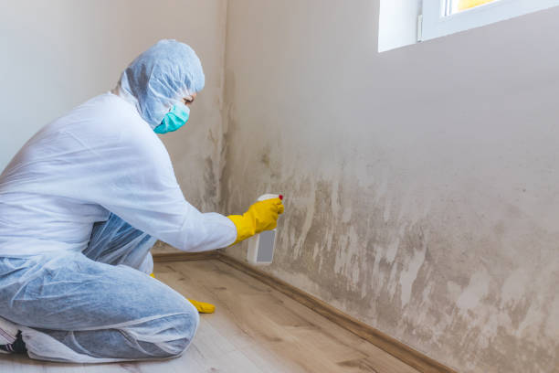 Licensed Mold Testing service in Oak Brook, IL - WQB Mold Removal